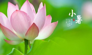 24节气小暑节气的含义是什么 小暑指的是什么