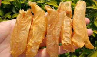 如何清洗花胶 花胶怎样清洗