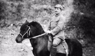 贺龙简介 贺龙简介内容