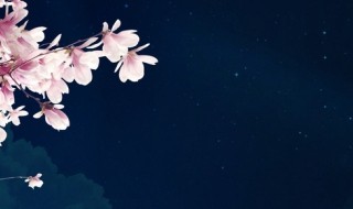 朦胧诗派名词解释 朦胧诗派的名词解释