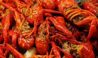 小龙虾哪里不能吃 小龙虾什么地方不能吃