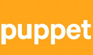 puppet什么意思中文 puppet指的是什么