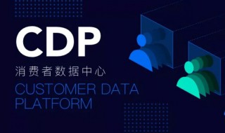 cdp是什么意思 cdp的寓意