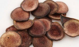 鹿茸的最佳保存方法 鹿茸如何保存