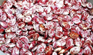 孕妇能不能吃花豆 孕妇可不可以吃花豆