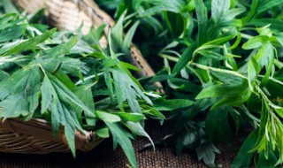 什么人不能用艾草枕头 哪些人不能用艾草枕头