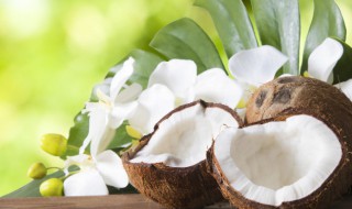 什么人不能喝椰子粉 椰子粉什么人不能喝