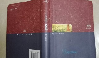 爱玛小说简介 爱玛小说内容简介