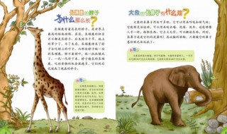 十万个为什么作者简介 十万个为什么作者是谁