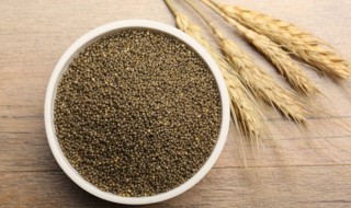 怎么鉴别黑小米 鉴别黑小米的方法介绍