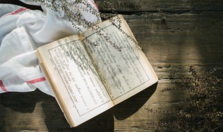 两小儿辩日作者简介 两小儿辩日作者的资料