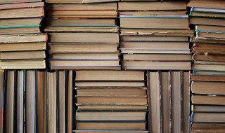 丰子恺作者简介 丰子恺的资料