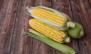 玉米不能和什么同食 哪些食物不能和玉米一起吃