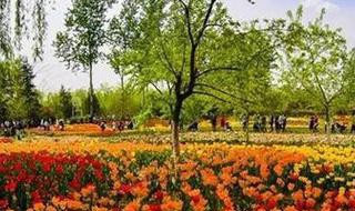 济南植物园有什么好玩的地方 济南植物园有哪些好玩的地方