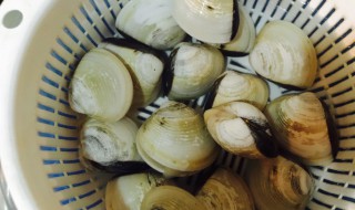 如何清洗白贝 清洗白贝的方法