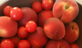 赤朱丹彤意思是什么 赤朱丹彤解释