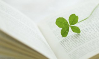 一动不动的意思 一动不动的出处