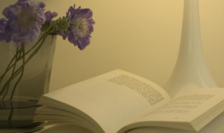 烂好人是什么意思 是褒义词还是贬义词？