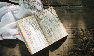 由此及彼意思 由此及彼的出处