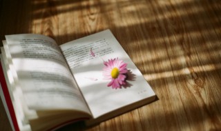 烂若舒锦意思 烂若舒锦的出处