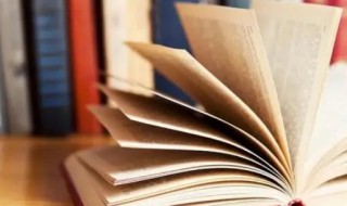 爱民如子意思 爱民如子的造句