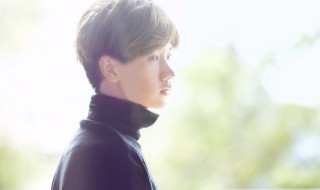 汪苏泷一笑倾城歌词 汪苏泷一笑倾城的歌词详细