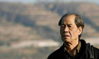 陈忠实作品 陈忠实有什么作品