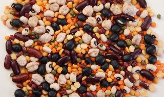 菜豆子怎么做好吃又简单 豆子怎么做好吃又简单