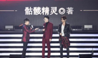 骷髅精灵作品 骷髅精灵作品介绍