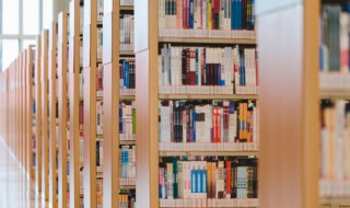 蝴蝶蓝作品 起点中文网作家蝴蝶蓝作品