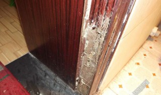 如何防白蚁入屋 防白蚁入屋的方法