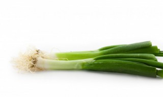 大葱移栽时间和方法 关于大葱移栽时间和方法