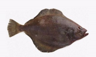 比目鱼不去皮能吃吗 比目鱼不去皮是否能吃