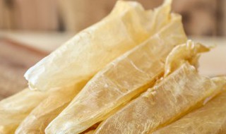 鱼胶的正确做法教程 鱼胶怎么正确做