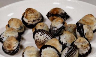 血蚶的功效与作用及禁忌 血蚶的功效与作用介绍