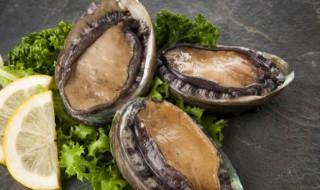 鲍鱼鲍鱼的营养价值与功效作用 鲍鱼的营养价值是什么