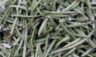 迷迭香花茶的功效与作用 迷迭香花茶的功效与作用有哪些