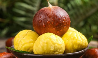 板栗的产地 栗子的产地介绍