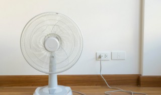 四级风有多大 四级风的威力