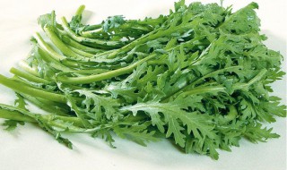 香醋筒蒿的做法 如何做香醋筒蒿