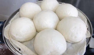 纯手工白面馒头的做法 纯手工白面馒头怎么做
