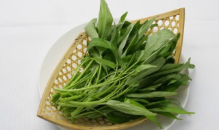 空菜炒豆角的做法 空菜炒豆角的烹饪方法