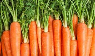 红萝卜做法 红萝卜怎么做