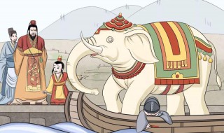 曹冲称象概括 曹冲称象简介
