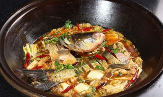炖鲢鱼的做法 炖鲢鱼怎么做