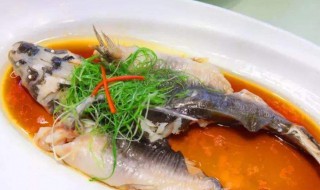 江团的做法 怎样煮江团鱼