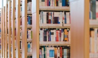 珩字怎么读 珩字如何读