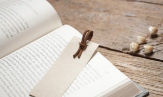 脲醛怎么读 脲醛读音和解释