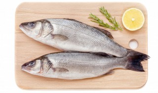 怎样做鲈鱼好吃 制作鲈鱼的方法