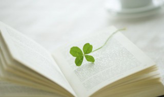 雪白近义词 雪白大体是什么意思